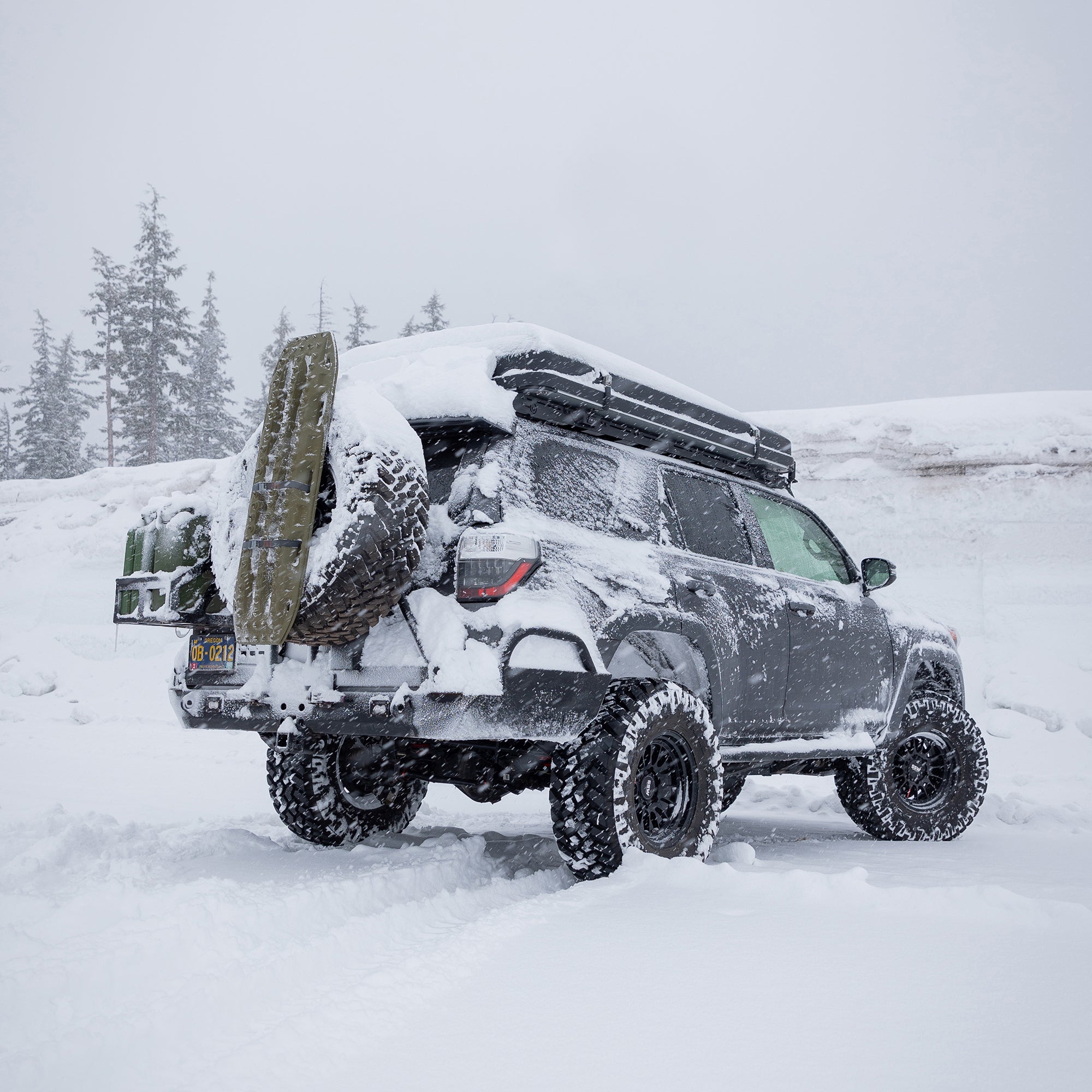 Rollercam - Traction Board Kit