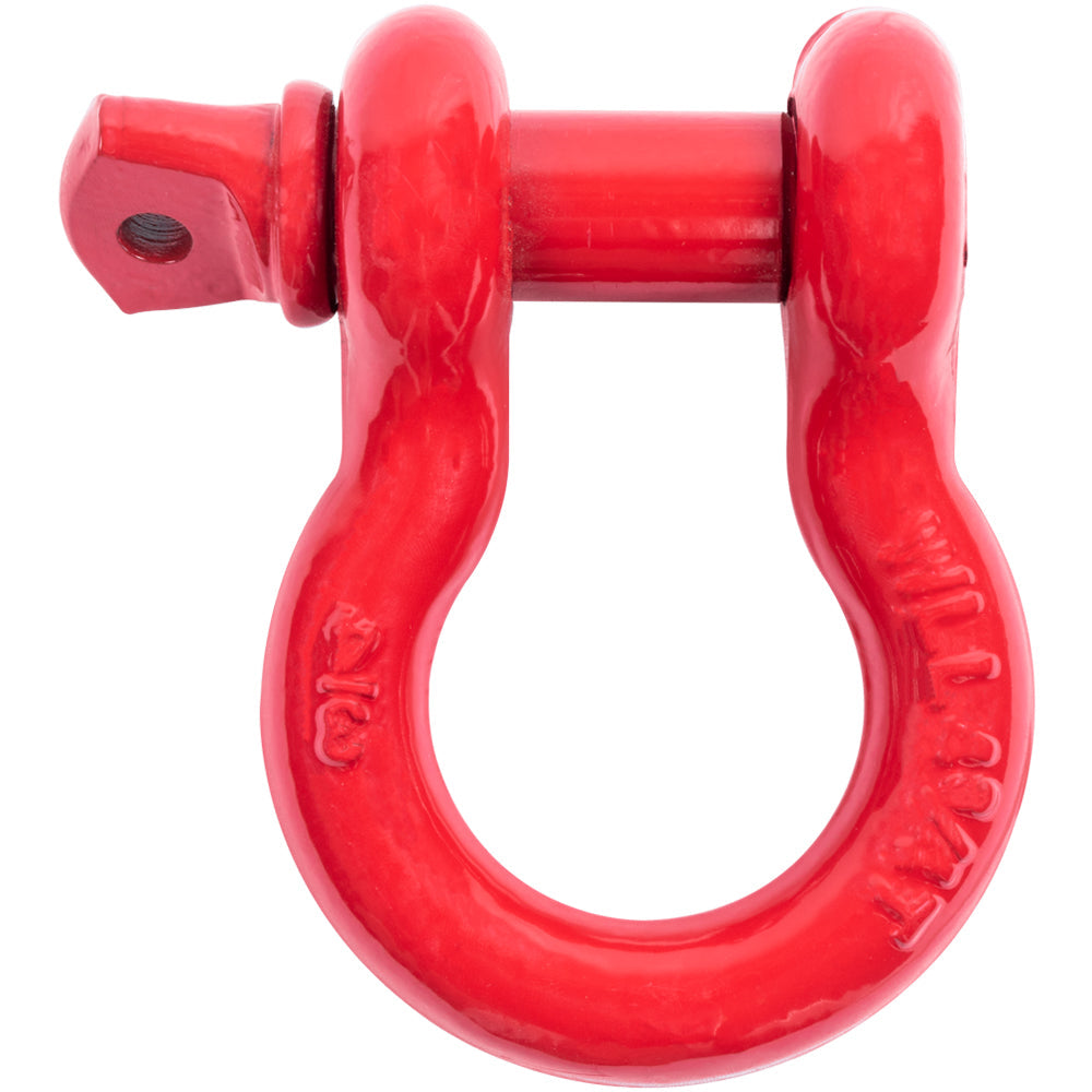 Agency 6 - D-Ring 3/4" - For Use With 2" Shackle Block