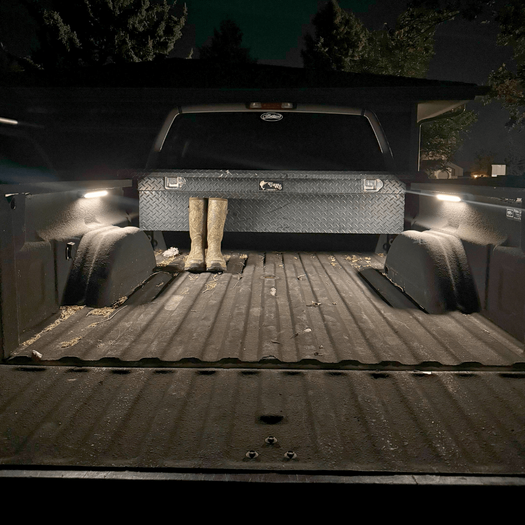 Kingpin Equipped - V-Series 12" Light