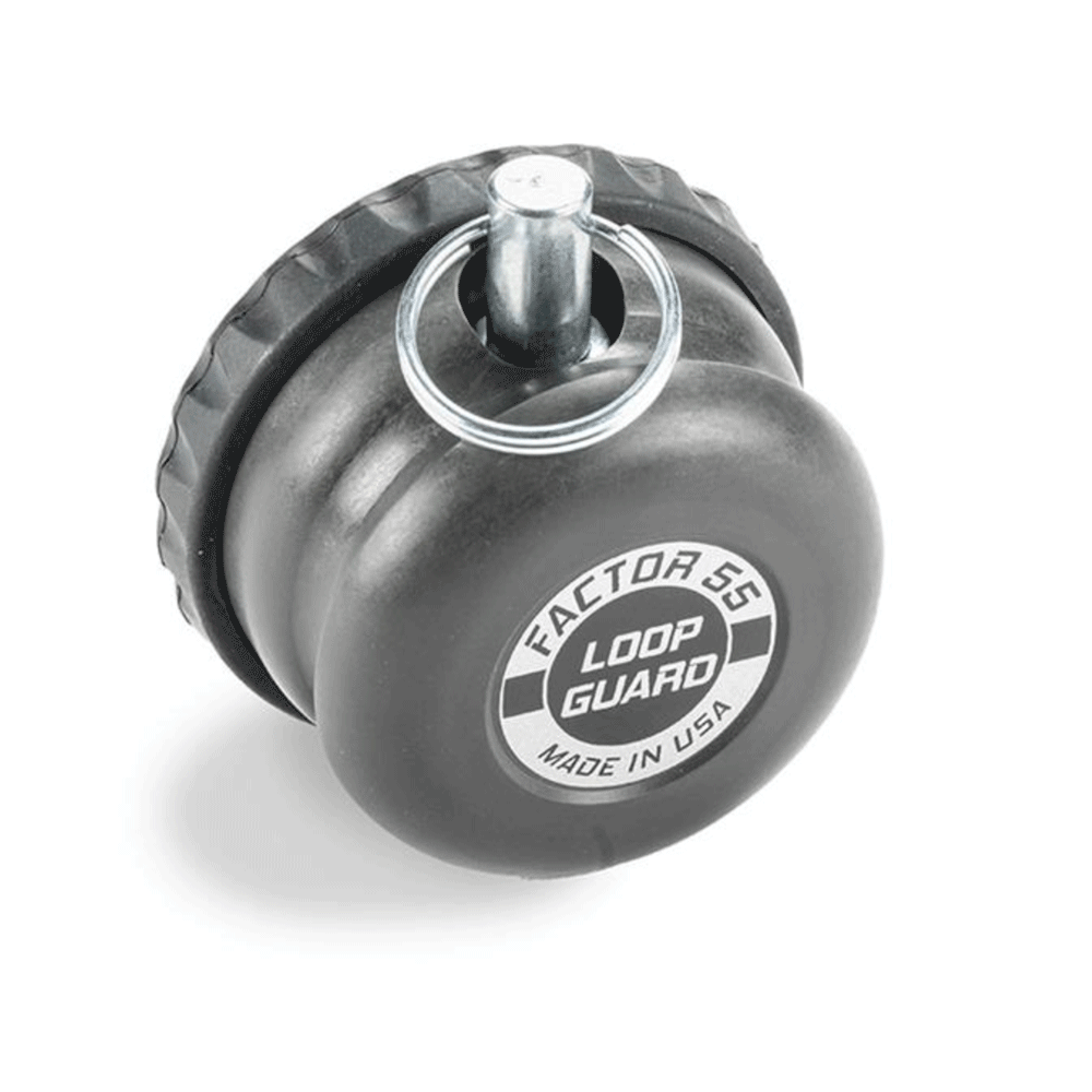 Factor 55 - Loop Guards