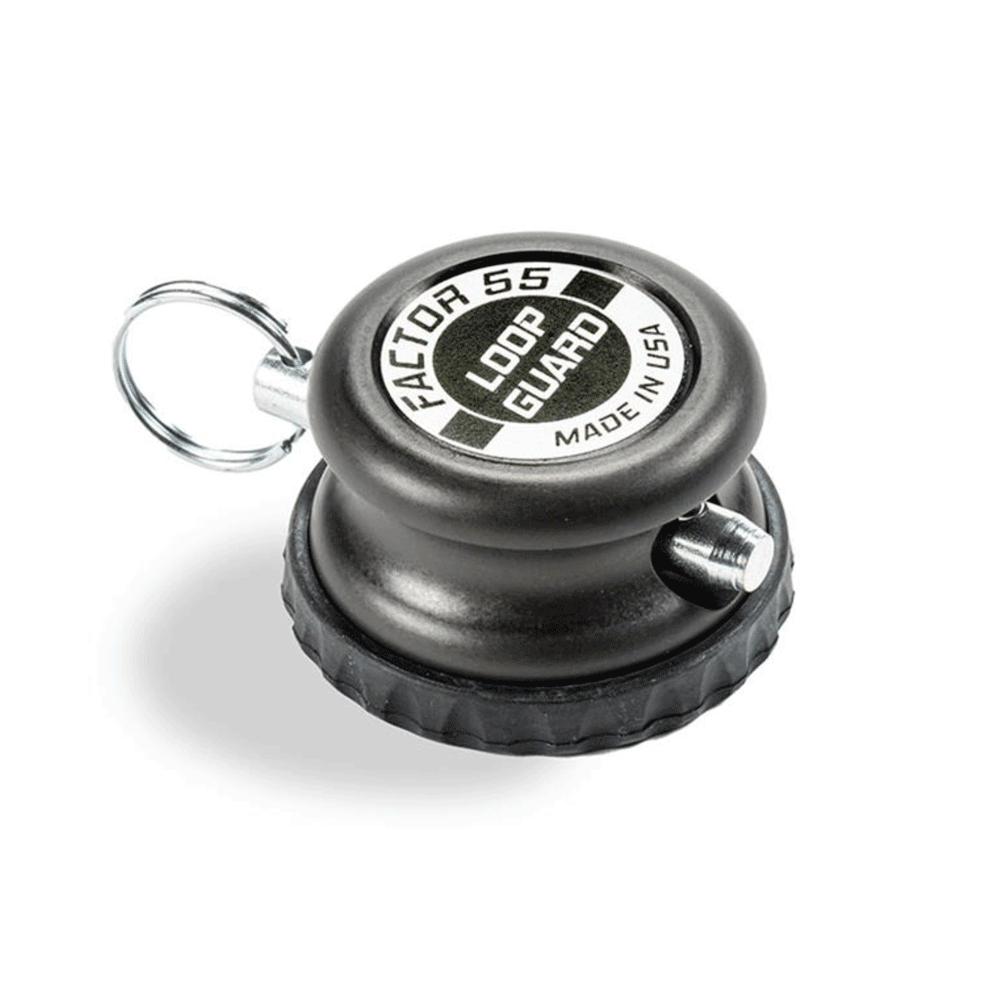 Factor 55 - Loop Guards