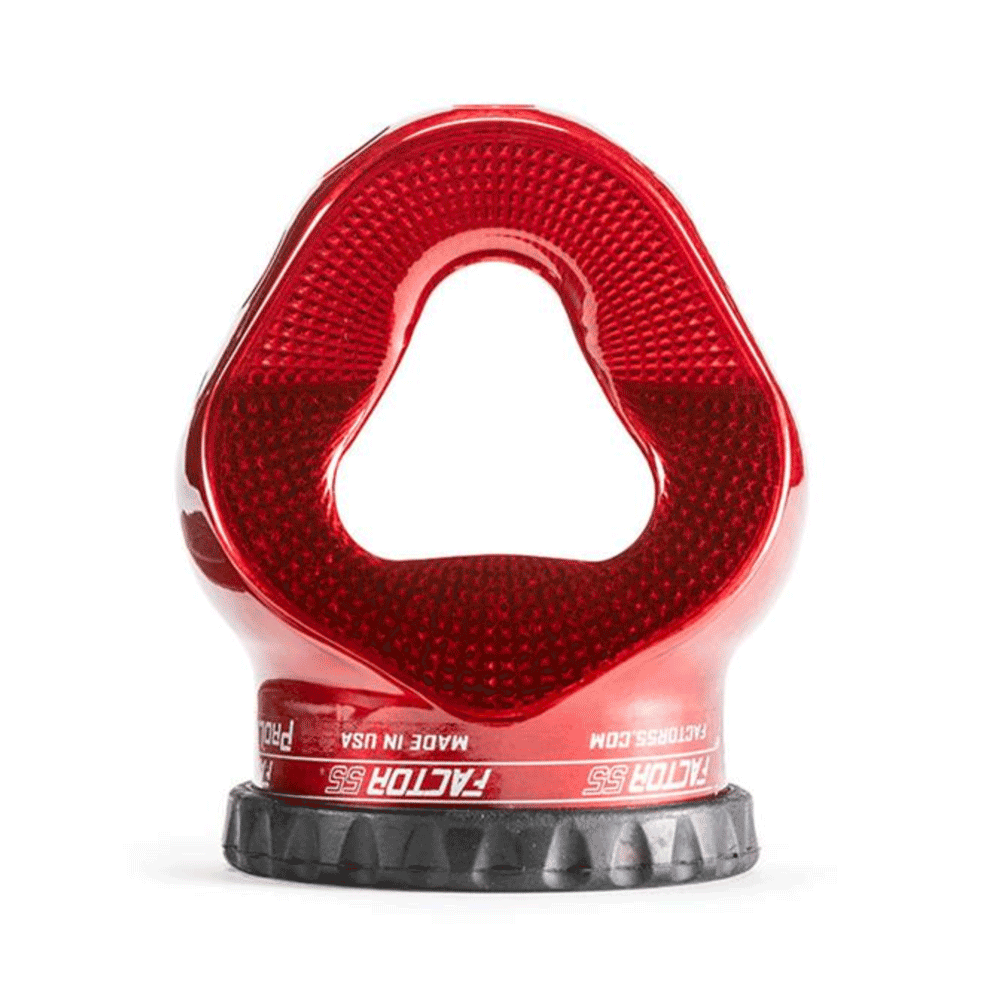 Factor 55 - ProLink E (Expert)