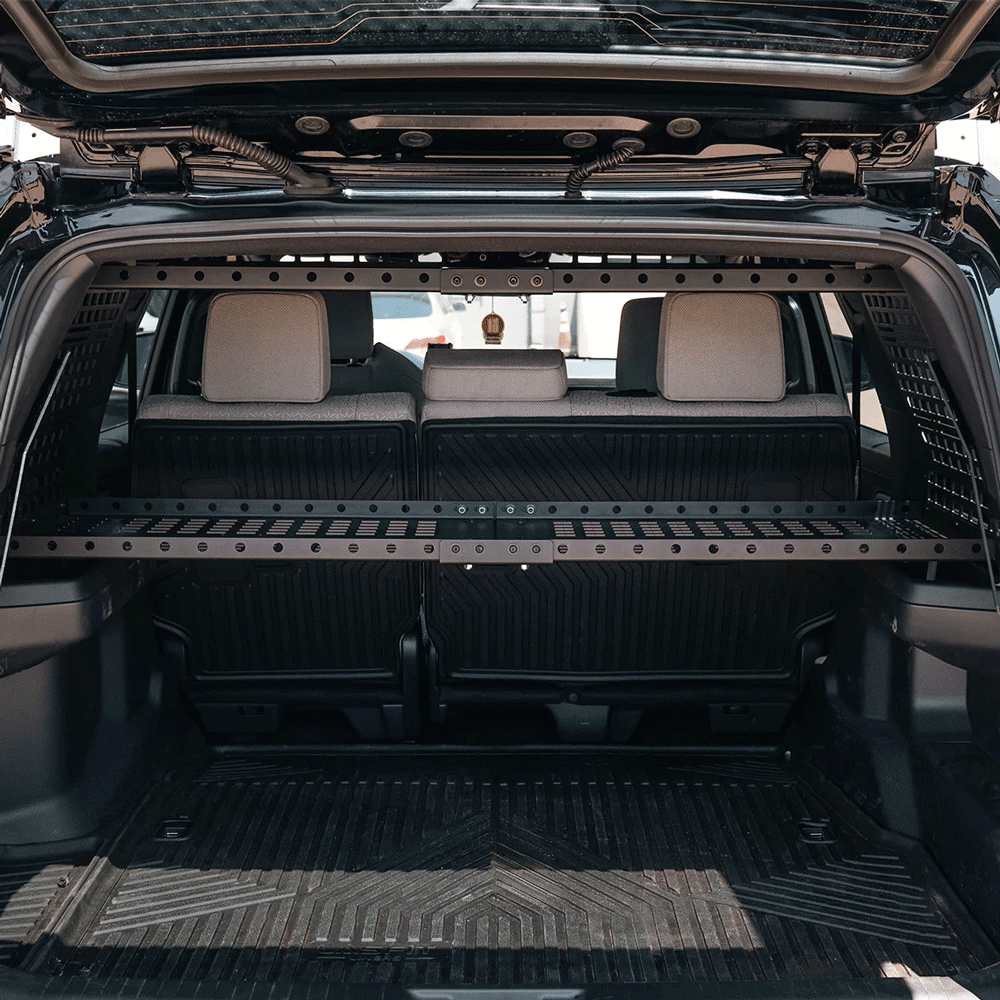 Cali Raised LED - Interior Rear Side Window Molle Panel - Toyota 4Runner (2025+)